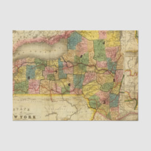 State of New York by DH Burr Tissue Paper