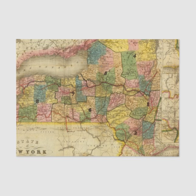 State of New York by DH Burr Tissue Paper (Front)