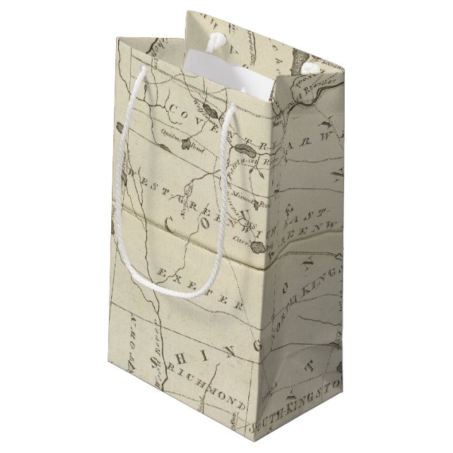 State of Rhode Island Small Gift Bag (Back Angled)