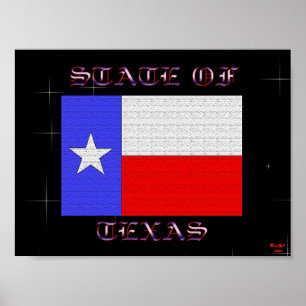 State Of Texas Poster
