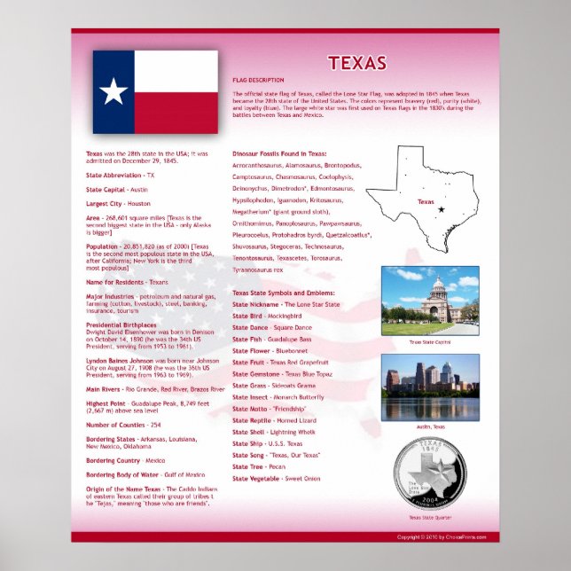 State of Texas,TX Posters (Front)