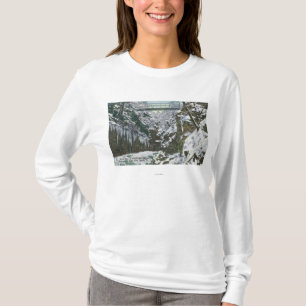 State Park Gorge Suspension Bridge View in T-Shirt