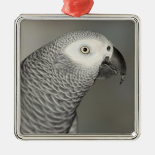 Stately African Grey Parrot Metal Tree Decoration