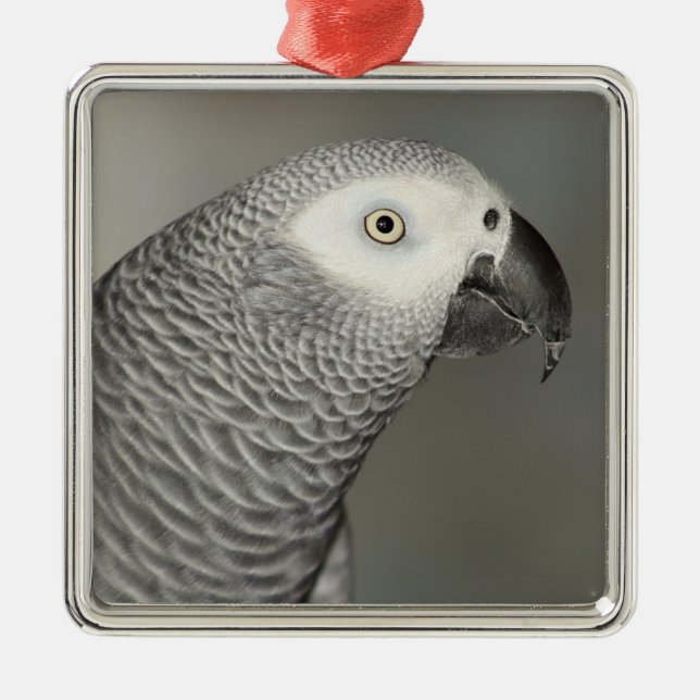 Stately African Grey Parrot Metal Tree Decoration (Front)