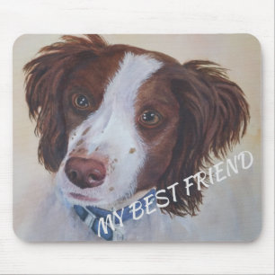 STATELY AUBURN SETTER MIX MOUSE PAD