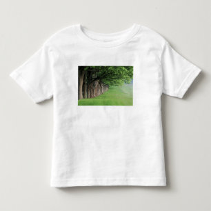 Stately row of trees, Louisville, Kentucky. Toddler T-Shirt
