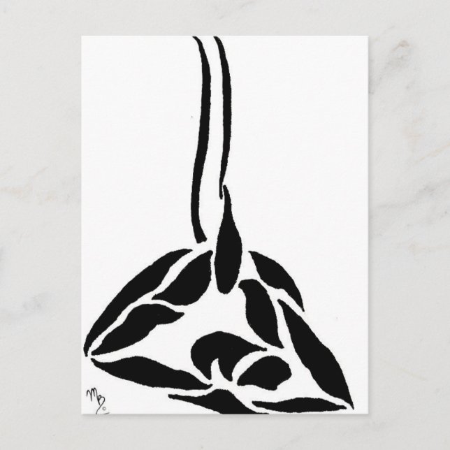 Static Trapeze Back Balance Fold Postcard (Front)