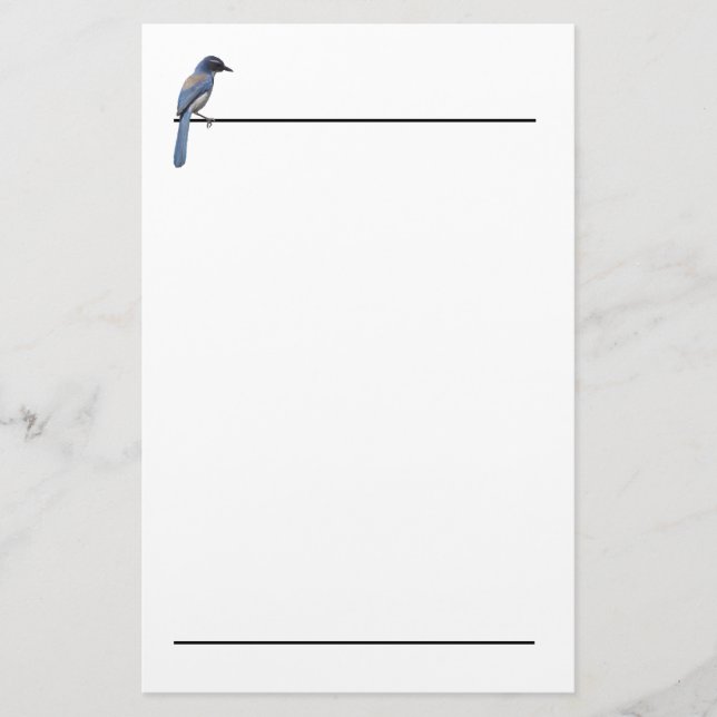 Stationery - Blue Jay (Front)