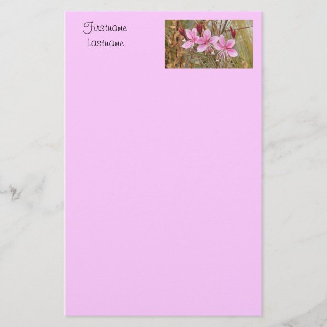 Stationery - Pink guara (Front)