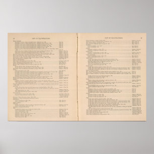 Statistical atlas 1900 8 poster