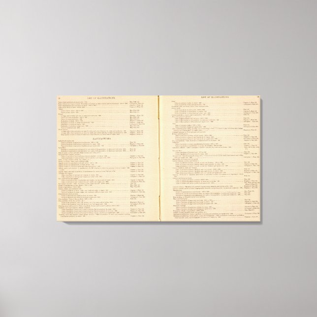 Statistical atlas 1900 9 canvas print (Front)