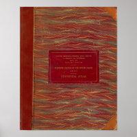 Statistical atlas United States