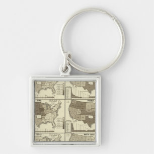 Statistical United States lithographed maps Key Ring
