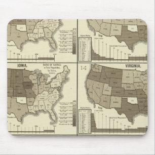 Statistical United States lithographed maps Mouse Pad