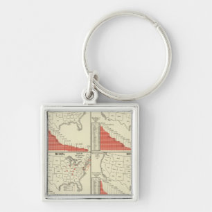 Statistics for special schools key ring