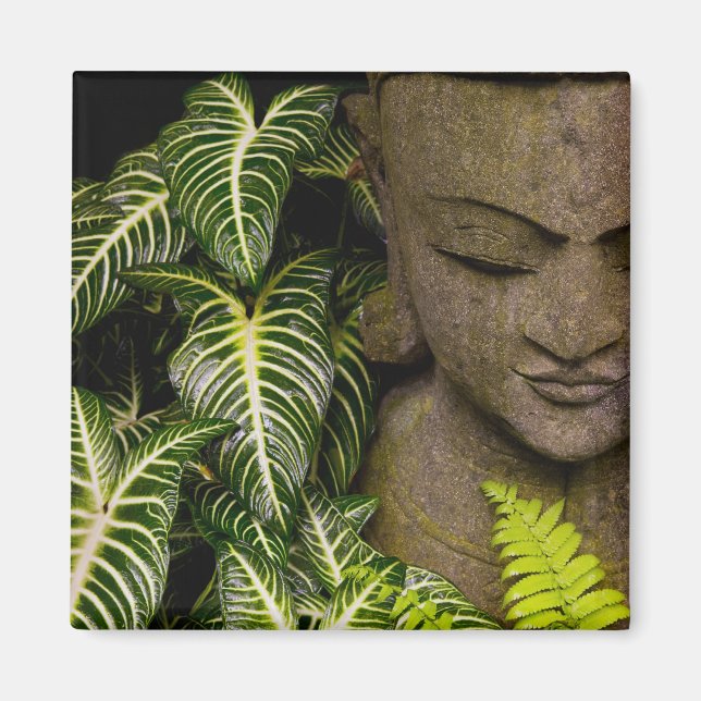 Statue in a Garden Location Information: Chiang Ma Magnet (Front)