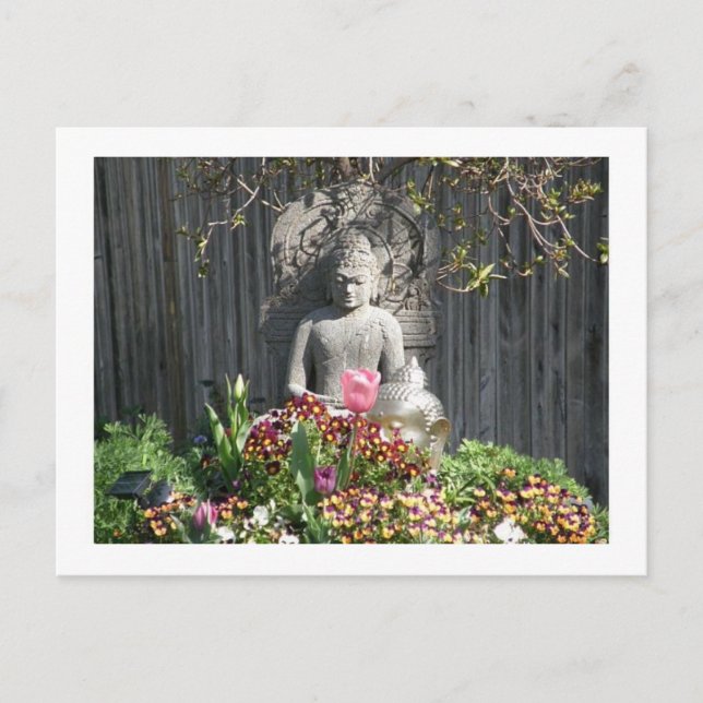 Statue of Buddha Postcard (Front)