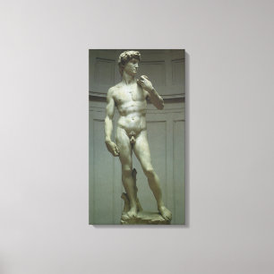 Statue of David by Michelangelo Canvas Print