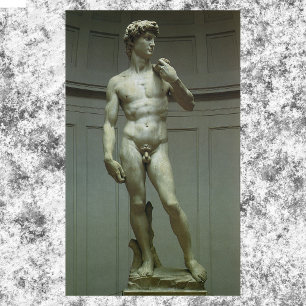Statue of David by Michelangelo Poster
