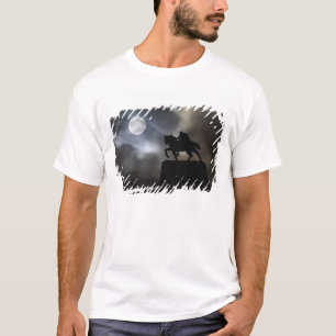 Statue of King Kralja Tomislava silhouetted T-Shirt