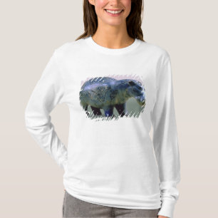 Statuette of a hippopotamus T-Shirt