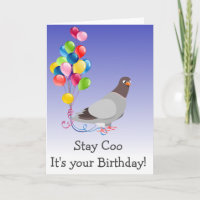 Stay Coo It's Your Birthday Pigeon Bird