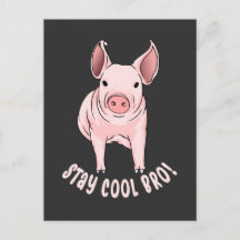 Stay Cool Bro Funny Pig