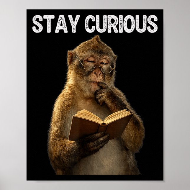 Stay curious funny monkey bookworm reading book poster (Front)