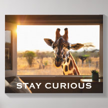 Stay Curious Giraffe Personalised Wall Art Gift