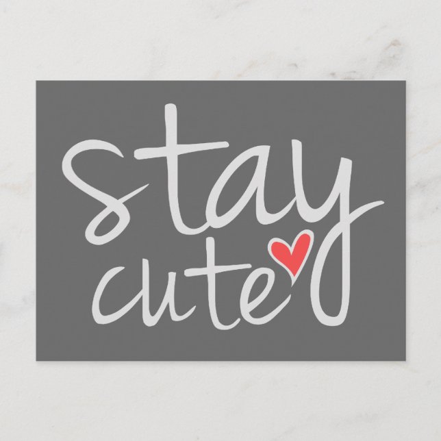 Stay Cute Postcard, Grey Postcard (Front)
