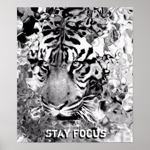 Stay Focus_Poster Poster