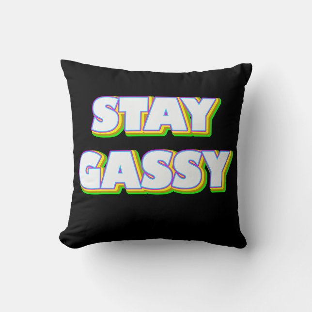 Stay Gassy Cushion (Front)