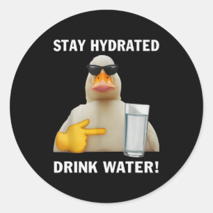 Stay Hydrated Drink Water Funny Meme Duck  Classic Round Sticker