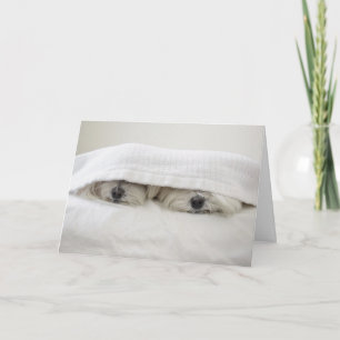 Stay in Bed Card