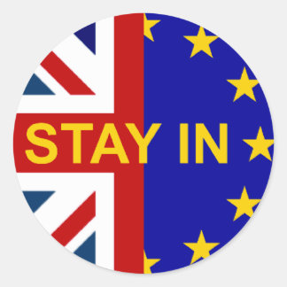 Stay IN! Classic Round Sticker