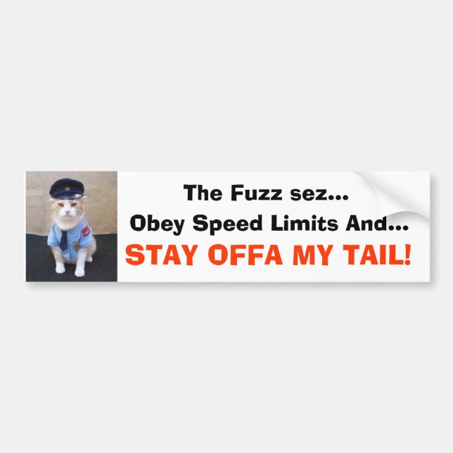 STAY OFFA MY TAIL! BUMPER STICKER (Front)