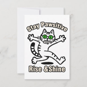 Stay Pawsitive Cat Card