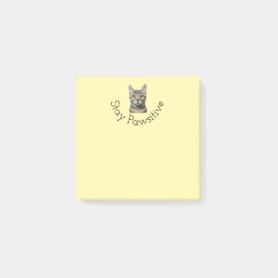Stay Pawsitive Cat Post It Notes