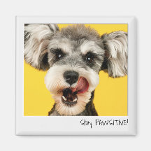 Stay PAWSITIVE Instant Camera Custom Magnet