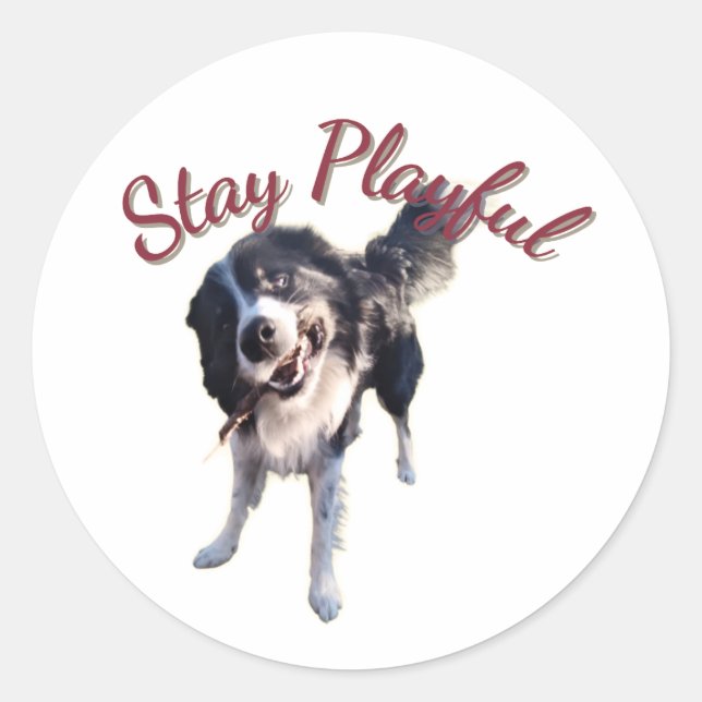 Stay Playful Dog Sticker (Front)