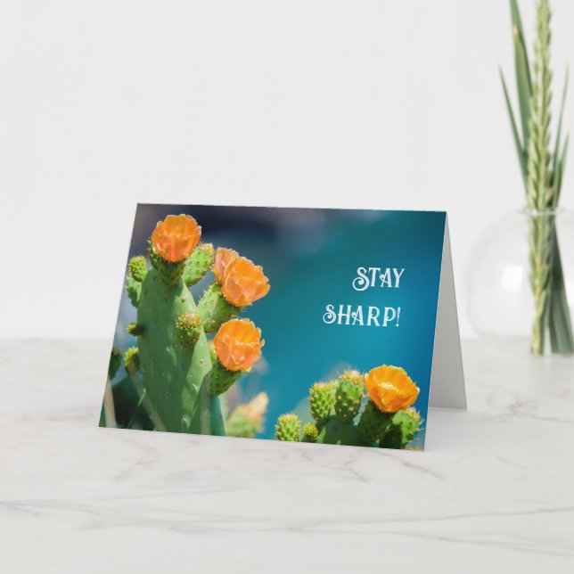 Stay sharp - Bright Cactus Flower photo birthday Card (Front)