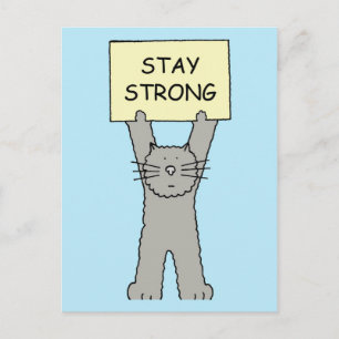 Stay Strong Encouragement Cat Postcard