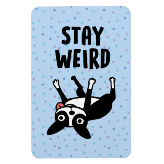 Stay Weird Funny Boston Terrier Dog Magnet
