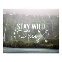 Stay Wild & Free - Waterfalls in Alaska | Poster
