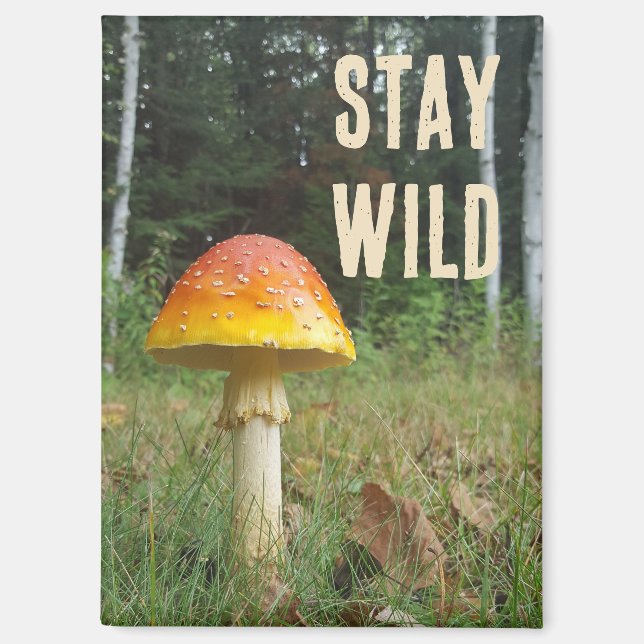 Stay Wild mushroom magnet (Front)