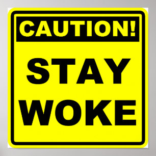 Stay Woke Meme Poster Sign Placard