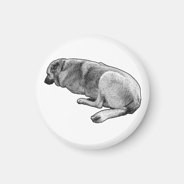 Staying Exactly Like This Magnet (Front)