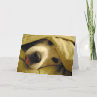 staying in bed until tuesday card