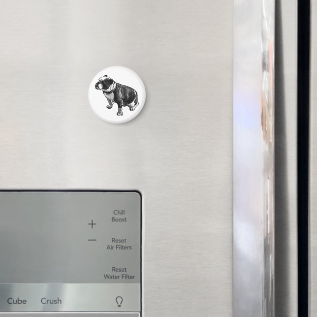 Stays Grounded Magnet (In Situ (Fridge))