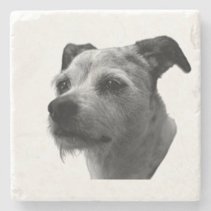 Steady Companion – Parson Russell Terrier Stone Coaster